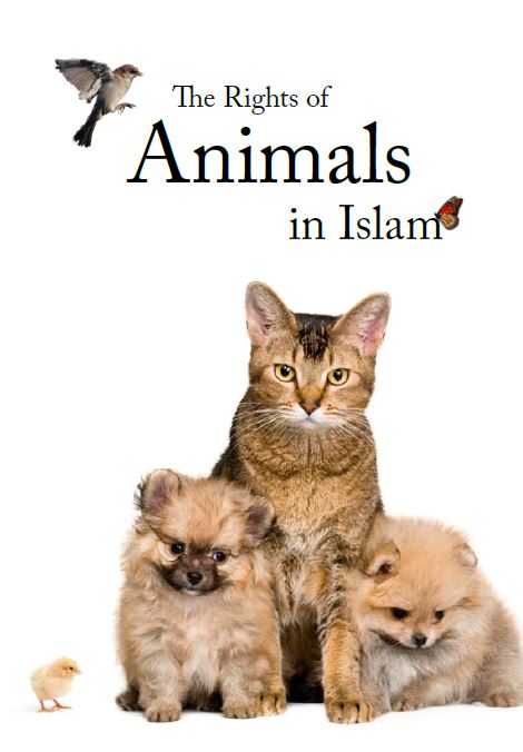 The Rights of Animals in Islam 