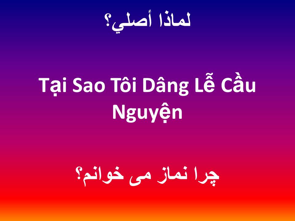 Tại Sao Tôi Dâng Lễ Cầu Nguyện