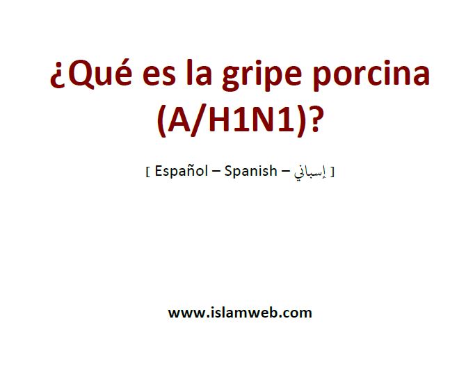 ¿Qué es la gripe porcina (A/H1N1)?