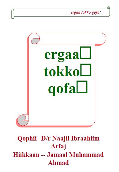 Ergaa tokko qofa